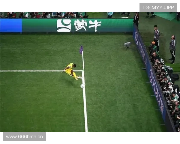 卡塔尔世界杯足球蒙牛世界杯体育论坛